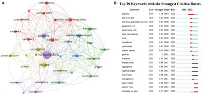 Microplastics and viruses in the aquatic environment: a mini review